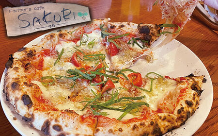 【Pizza】 本格 石釜焼き Pizza 2枚 ＜ マルゲリータ / チチニエリ ＞ ＆ 塩パン ＆ ソフトフランス セット 冷凍 ピザ 冷凍ピザ 人気ピザ ピザセット パンセット 石窯ピザ ちりめんじゃこ 大葉 ニンニク 059-0283