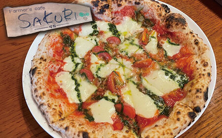 SAKURI パーティー セット 石窯焼き ピッツァ 約21cm 2種 ピザ 自家製ピザ 美味しいピザ 人気ピザ 冷凍ピザ ピザセット マルゲリータ キッシュ 059-0284