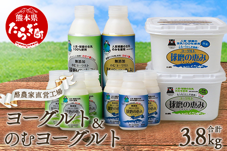 球磨の恵み ヨーグルト & ドリンクヨーグルト 詰め合わせセット 6種 10点【加糖・砂糖不使用】新鮮 生乳使用 とろーり もっちり 加糖ヨーグルト 砂糖不使用 プレーンヨーグルト 食べる 飲む 】074-0446