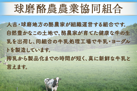 球磨の恵み のむヨーグルト 詰め合わせセット 450g各2本 150g各6本 合計16本【加糖・砂糖不使用】新鮮 生乳使用 加糖ヨーグルト 砂糖不使用 プレーンヨーグルト 飲むヨーグルト 】074-0447