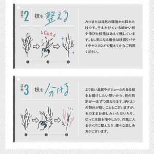 【インテリア】 TSUKIGI みつまた 50cm～80cm ＜染色＞インテリア オブジェ 高級 純国産 インテリア ナチュラル ドライフラワー お洒落 シンプル 048-0459