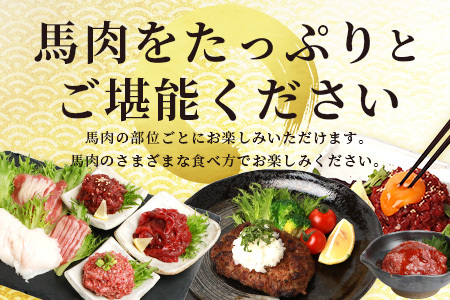 馬肉 バラエティー 6種 セット 約1.02kg ＜ 赤身切り落とし / コウネ / ネギトロ / ユッケ / フタエゴ / ハンバーグ / タレ付き ＞ 熊本馬刺し 新鮮馬刺し 馬刺し食べ比べ 馬刺しセット 絶品馬刺し 新鮮馬刺し 絶品馬刺し 熊本 国産  031-0491