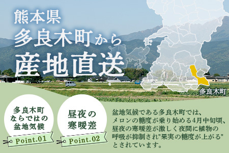 【 2025年4月中旬～発送開始 】 先行予約 グラバーメロン 3玉 【 熊本県 多良木町産 上品な味 高糖度 甘い メロン ぐらばー めろん 熊本メロン メロン メロン メロン メロン メロン メロン メロン メロン メロン メロン 013-0557