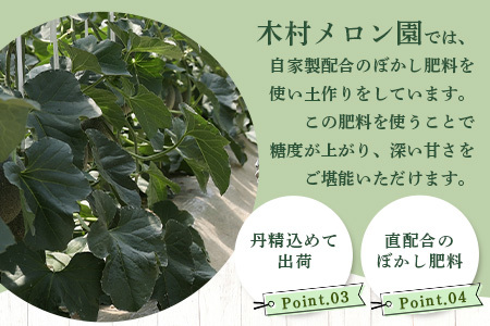 【 2025年4月中旬～発送開始 】 先行予約 グラバーメロン 3玉 【 熊本県 多良木町産 上品な味 高糖度 甘い メロン ぐらばー めろん 熊本メロン メロン メロン メロン メロン メロン メロン メロン メロン メロン メロン 013-0557