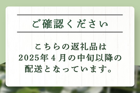 【 2025年4月中旬～発送開始 】 先行予約 グラバーメロン 3玉 【 熊本県 多良木町産 上品な味 高糖度 甘い メロン ぐらばー めろん 熊本メロン メロン メロン メロン メロン メロン メロン メロン メロン メロン メロン 013-0557