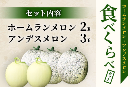 【2025年4月中旬発送開始】【先行予約】熊本県産 ホームランメロン アンデスメロン 食べ比べ 計5玉 約5kg 令和7年 先行 御予約 予約 ご予約 熊本 くまもと アンデス ホームラン メロン めろん フルーツ 果物 食べくらべ くだもの 爽やか さわやか 甘い 糖度14度以上 ジューシー とろける 上品な甘さ 上品 熊本県 多良木町 083-0624