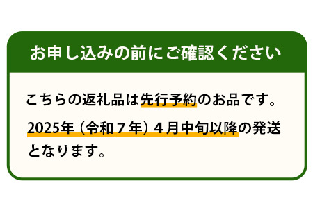 【2025年4月中旬発送開始】【先行予約】熊本県産 ホームランメロン アンデスメロン 食べ比べ 計5玉 約5kg 令和7年 先行 御予約 予約 ご予約 熊本 くまもと アンデス ホームラン メロン めろん フルーツ 果物 食べくらべ くだもの 爽やか さわやか 甘い 糖度14度以上 ジューシー とろける 上品な甘さ 上品 熊本県 多良木町 083-0624