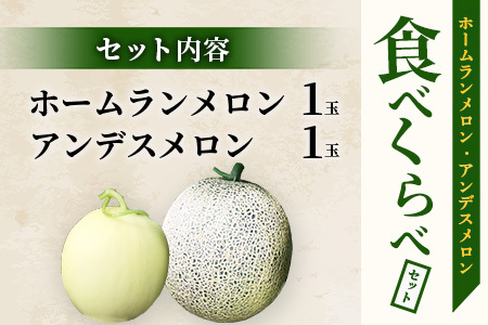 【2025年4月中旬発送開始】【先行予約】熊本県産 ホームランメロン アンデスメロン 食べ比べ 計2玉 約2.5kg 以上 令和7年 先行 予約 ご予約 熊本 くまもと アンデス ホームラン メロン メロン食べ比べ 数量限定 ジューシー 大人気 めろん フルーツ 果物 食べくらべ くだもの 甘い 糖度14度以上 ジューシー とろける 上品な甘さ 上品 熊本県 多良木町 083-0625