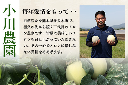 【2025年4月中旬発送開始】【先行予約】熊本県産 アンデスメロン 2玉 約2.5kg以上 ご予約 令和7年 先行 メロン めろん フルーツ 果物 くだもの アンデス 甘い ジューシー 果実 糖度14度以上 旬の果物 旬のフルーツ 旬 熊本 熊本県 多良木 083-0697