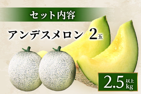 【2025年4月中旬発送開始】【先行予約】熊本県産 アンデスメロン 2玉 約2.5kg以上 ご予約 令和7年 先行 メロン めろん フルーツ 果物 くだもの アンデス 甘い ジューシー 果実 糖度14度以上 旬の果物 旬のフルーツ 旬 熊本 熊本県 多良木 083-0697