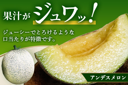 【2025年4月中旬発送開始】熊本県産 アンデスメロン 5玉 約5kg ご予約 令和7年 先行 メロン めろん フルーツ 果物 くだもの アンデス 甘い ジューシー 果実 糖度14度以上 旬の果物 旬のフルーツ 旬 熊本 熊本県 多良木町 083-0696