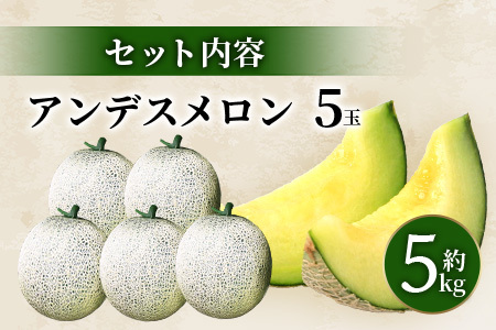 【2025年4月中旬発送開始】熊本県産 アンデスメロン 5玉 約5kg ご予約 令和7年 先行 メロン めろん フルーツ 果物 くだもの アンデス 甘い ジューシー 果実 糖度14度以上 旬の果物 旬のフルーツ 旬 熊本 熊本県 多良木町 083-0696