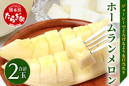 【2026年5月上旬発送開始】熊本県産 ホームランメロン 2玉 約2.5kg以上 メロン ホームラン めろん フルーツ 果物 くだもの 果実 旬 旬の果物 旬のフルーツ 熊本県 熊本 多良木町 083-0699