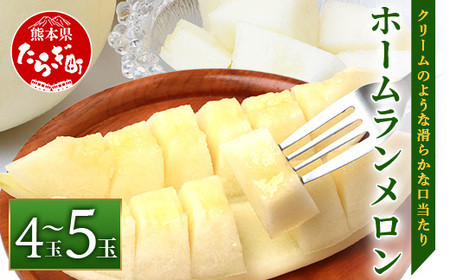 【2026年5月上旬発送開始】熊本県産 ホームランメロン 4～5玉 約5kg メロン ホームラン めろん フルーツ 果物 くだもの 果実 旬 旬の果物 旬のフルーツ 甘い 熊本県 熊本 多良木町 083-0698