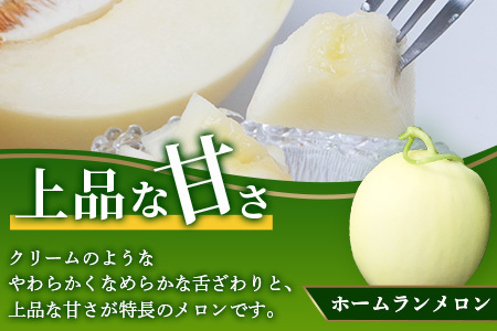【2026年5月上旬発送開始】熊本県産 ホームランメロン 4～5玉 約5kg メロン ホームラン めろん フルーツ 果物 くだもの 果実 旬 旬の果物 旬のフルーツ 甘い 熊本県 熊本 多良木町 083-0698
