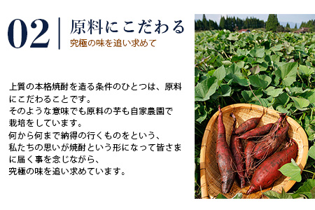 芋 蔵八 1800ml×2本 25度 本格 芋焼酎 パック 【 芋 本格芋焼酎 お酒