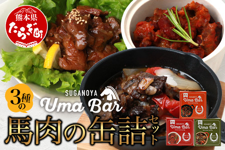 【UmaBar】 馬肉 の 缶詰 3種 9個セット ＜ アヒージョ / トマト煮 / 焼肉風 ＞ アウトドア 非常食 長期保存 簡単 お手軽 熊本県 031-0501