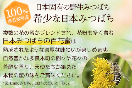 日本みつばち 蜂蜜「天使の宝」＆無農薬 「ブラックベリー ジャム」 セット 【希少 ニホンミツバチ 高純度 垂れ蜜 ハチミツ ジャム 無添加 】094-0002