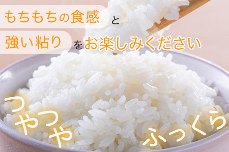 【R6年産 新米 】多良木町産 にこまる 5kg 均ちゃん農園 令和6年 新米 熊本県 米どころ 多良木町 精米 新米 白米 ご飯 お米 うるち 米 008-0670