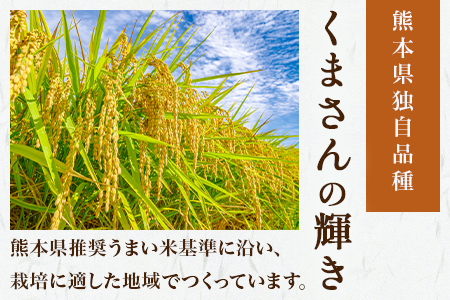 【R6年産 新米 】多良木町 産『くまさんの輝き』 精米 計 10kg ( 5kg×2袋 ) 10月～発送 熊本県 たらぎ お米 米 艶 粘り 甘み うま味 熊本の 米 10キロ 044-0586