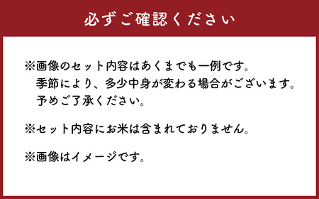 【下村婦人会】ゴハンのおともセット（A）