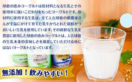 【順次発送】球磨の恵みのむヨーグルト詰め合わせセット