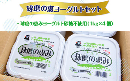 【12ヶ月定期便】球磨の恵みヨーグルトセット（砂糖不使用1kg×4個）計48kg