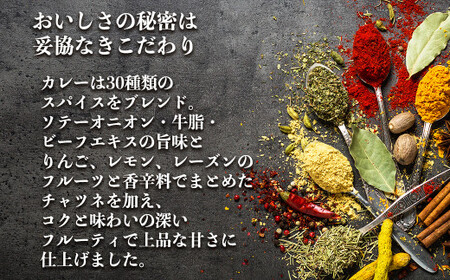 【訳あり】具だくさん やわらか牛タンカレー 約250g×6パック 計 約1.5kg