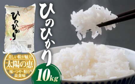 【令和7年産】ヒノヒカリ10kg×1袋 米 お米 精米 白米 ごはん ご飯 【2026年10月下旬迄発送予定】