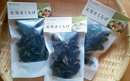 国産 乾燥 きくらげ（元気きくらげ） 30g×3袋 計90g