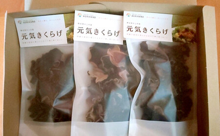 国産 乾燥 きくらげ（元気きくらげ） 30g×3袋 計90g