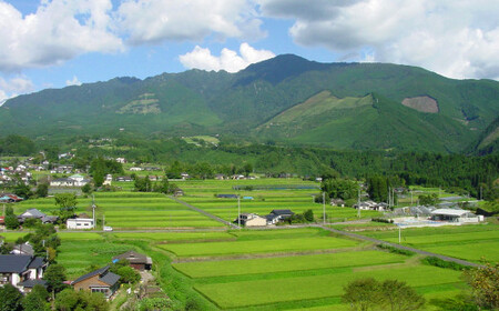 萬屋次兵衛 1800ml 1本 米焼酎 1.8L 球磨焼酎 熊本県産