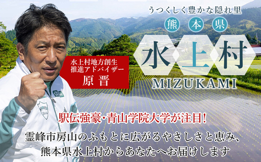 球磨の恵み ヨーグルト 加糖 3kg まとめ買い 大容量 熊本県 水上村