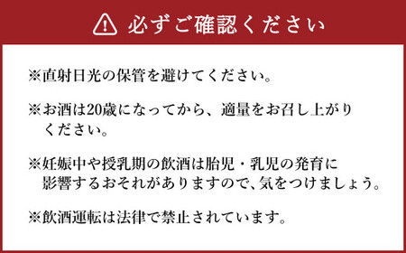 【ふるさと納税限定セット】熊本県水上村産 銘酒 10本 福袋 セット 10銘柄 本格 焼酎