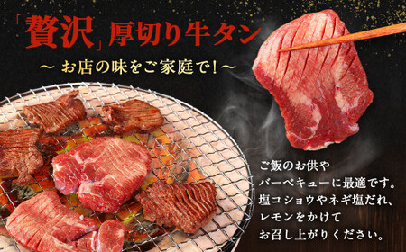  選べるお試し【訳あり】塩味厚切り牛タン 500g 厚切り 牛タン 肉 BBQ 焼肉 熊本県 水上村