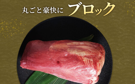 【訳あり】 牛タンブロック 1kg 牛タン タン ブロック BBQ 焼肉 牛 肉 塊