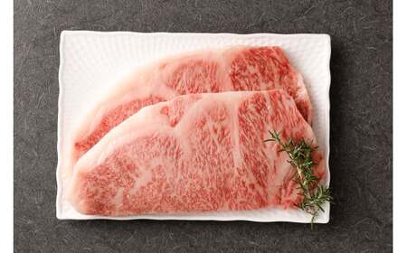 黒樺牛 サーロイン ステーキ 400g 200g×2パック 牛肉 ステーキ 和牛 牛 お肉 黒毛和牛 くろはなぎゅう 国産 九州産 熊本県産 冷凍
