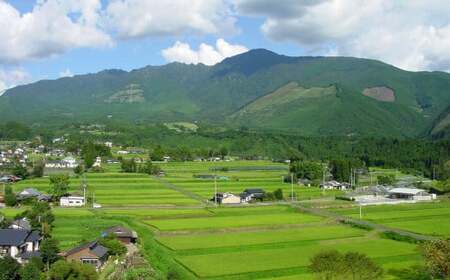 くまモン陶器・桜の里セット 2種類 計1260ml 米焼酎 球磨焼酎