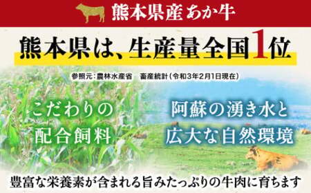 熊本県産あか牛スライス 約500g×2パック（計約1kg） 牛 肉 牛肉 あか牛 スライス 熊本県 水上村