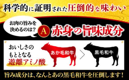 熊本県産あか牛スライス 約500g×2パック（計約1kg） 牛 肉 牛肉 あか牛 スライス 熊本県 水上村