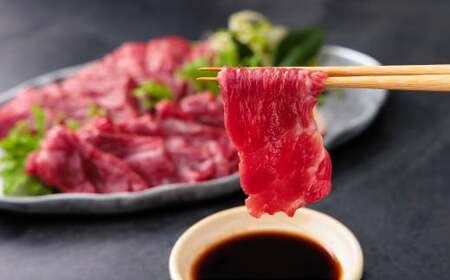 熊本肥育 上赤身 馬刺し セット 約500g（約50g×10パック） 肉 馬肉 馬刺 馬 熊本県 水上村