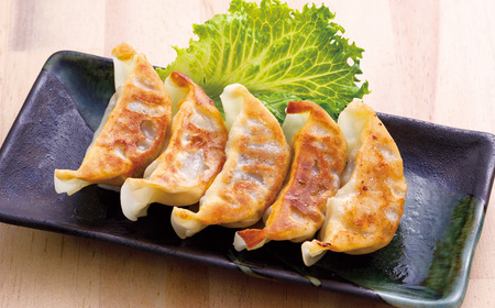 熊本和牛 あか牛 ぎょうざ 60個 （あか牛ぎょうざ 20個入り×3箱） 肉 にく ミート 牛肉 ビーフ ミンチ ひき肉 挽き肉 赤身 餃子 ギョウザ 惣菜 おかず 冷凍