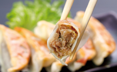 熊本和牛 あか牛 ぎょうざ 60個 （あか牛ぎょうざ 20個入り×3箱） 肉 にく ミート 牛肉 ビーフ ミンチ ひき肉 挽き肉 赤身 餃子 ギョウザ 惣菜 おかず 冷凍