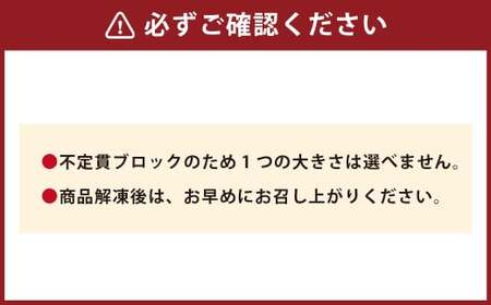 【フジチク ふじ馬刺し】馬刺し 上赤身 計約600g 馬刺 馬肉 赤身肉 赤身