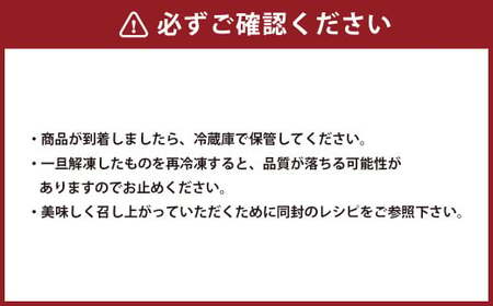 ハンバーガー パティ約100g×5枚 計:500g ハンバーガー パティ 牛肉 手作り 冷凍 熊本県 水上村
