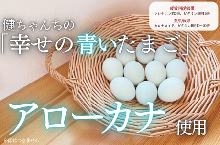 十勝ママシフォン（プレーン）手作り無添加シフォンケーキ(AJ0001)