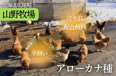 十勝ママシフォン（プレーン）手作り無添加シフォンケーキ(AJ0001)