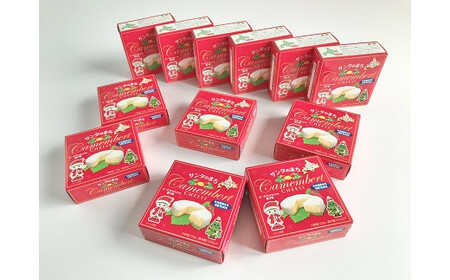 カマンベールチーズ１２個（0006）