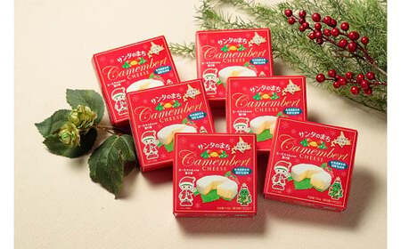 カマンベールチーズ６個（0031）