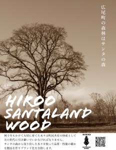 サンタランドウッドソロキャンプバーベキュー用焚き付けセット(D)